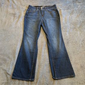 Terra & Sky Bootcut Jean